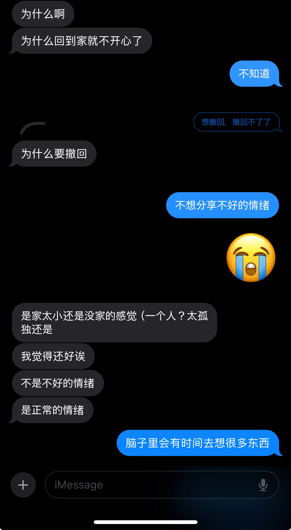 聊天截图